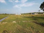 Terreno / Lote para Venda em Joinville/SC Vila Nova