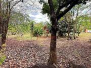 Terreno / Lote para Venda em Juatuba/MG Vila Maria Regina