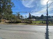 Terreno / Lote para Venda em Juiz de Fora/MG Bosque do...