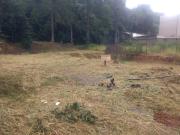 Terreno / Lote para Venda em Juiz de Fora/MG Jóquei Clube