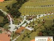 Terreno / Lote para Venda em Juiz de Fora/MG Linhares
