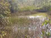 Terreno / Lote para Venda em Juiz de Fora/MG Náutico