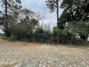 Terreno / Lote para Venda em Juiz de Fora/MG Parque Alto