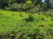 Terreno / Lote para Venda em Juiz de Fora/MG Paula Lima