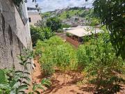 Terreno / Lote para Venda em Juiz de Fora/MG Santa Isabel