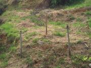 Terreno / Lote para Venda em Juiz de Fora/MG Santos Dumont