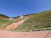 Terreno / Lote para Venda em Juiz de Fora/MG Vina Del Mar