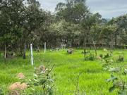 Terreno / Lote para Venda em Jundiaí/SP Caxambu