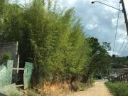 Terreno / Lote para Venda em Jundiaí/SP Jardim Caxambu