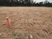 Terreno / Lote para Venda em Jundiaí/SP Medeiros