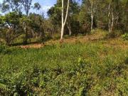Terreno / Lote para Venda em Juquitiba/SP Centro