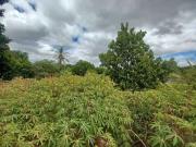 Terreno / Lote para Venda em Lagoa Santa/MG Jardim Ipê