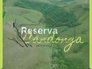 Terreno / Lote para Venda em Lima Duarte/MG Reserva Candonga