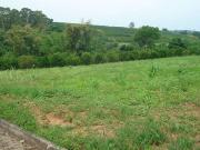 Terreno / Lote para Venda em Limeira/SP Bairro dos Lopes