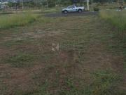 Terreno / Lote para Venda em Limeira/SP Jardim Campo...