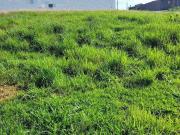 Terreno / Lote para Venda em Limeira/SP Jardim...