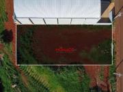 Terreno / Lote para Venda em Londrina/PR Cilo 2