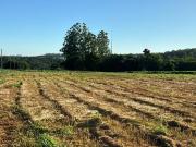 Terreno / Lote para Venda em Londrina/PR Gleba Fazenda...