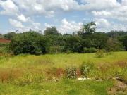 Terreno / Lote para Venda em Londrina/PR Gleba Palhano