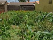 Terreno / Lote para Venda em Londrina/PR Jardim Morumbi