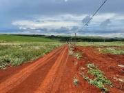 Terreno / Lote para Venda em Londrina/PR Jardim Primavera