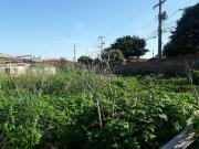 Terreno / Lote para Venda em Londrina/PR Jardim São Paulo