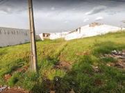 Terreno / Lote para Venda em Londrina/PR Jardim Tropical
