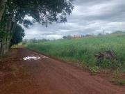 Terreno / Lote para Venda em Londrina/PR Maravilha