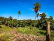 Terreno / Lote para Venda em Londrina/PR Parque Jamaica