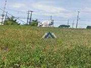 Terreno / Lote para Venda em Londrina/PR Portal de...