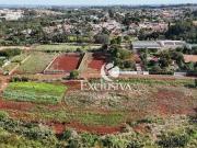 Terreno / Lote para Venda em Londrina/PR Tucano