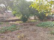 Terreno / Lote para Venda em Londrina/PR Vila Brasil