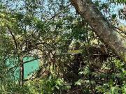 Terreno / Lote para Venda em Macaé/RJ Jardim Guanabara