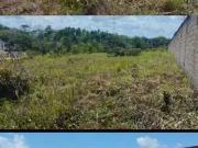 Terreno / Lote para Venda em Macapá/AP Lagoa Azul