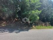 Terreno / Lote para Venda em Mairiporã/SP Caraguatá