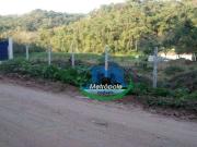 Terreno / Lote para Venda em Mairiporã/SP Jardim Apolinário