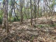 Terreno / Lote para Venda em Mairiporã/SP Jardim Cinco...