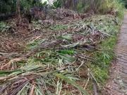 Terreno / Lote para Venda em Mairiporã/SP Jardim Cinco...