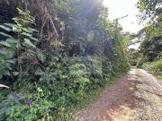 Terreno / Lote para Venda em Mairiporã/SP Jardim Marisol