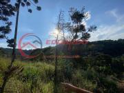 Terreno / Lote para Venda em Mairiporã/SP Jardim Samambaia