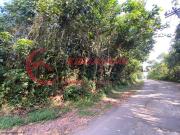 Terreno / Lote para Venda em Mairiporã/SP Jardim Samambaia