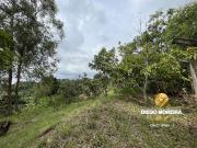 Terreno / Lote para Venda em Mairiporã/SP Jundiaizinho