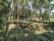 Terreno / Lote para Venda em Mairiporã/SP Luiz Fagundes
