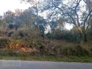 Terreno / Lote para Venda em Mairiporã/SP Mato Dentro