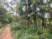 Terreno / Lote para Venda em Mairiporã/SP Mato Dentro