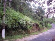 Terreno / Lote para Venda em Mairiporã/SP Rio Abaixo