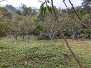Terreno / Lote para Venda em Mairiporã/SP Rio Acima
