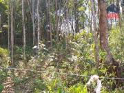 Terreno / Lote para Venda em Mairiporã/SP Rio Acima