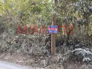 Terreno / Lote para Venda em Mairiporã/SP São Vicente