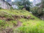 Terreno / Lote para Venda em Mairiporã/SP São Vicente